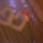 Pod Bukami - Wygląd Sali Weselnej