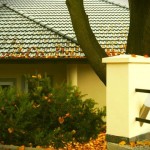 Pod Bukami - Wygląd Budynku i Posesji