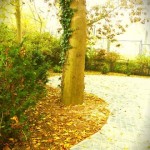 Pod Bukami - Wygląd Budynku i Posesji