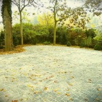 Pod Bukami - Wygląd Budynku i Posesji