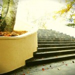 Pod Bukami - Wygląd Budynku i Posesji